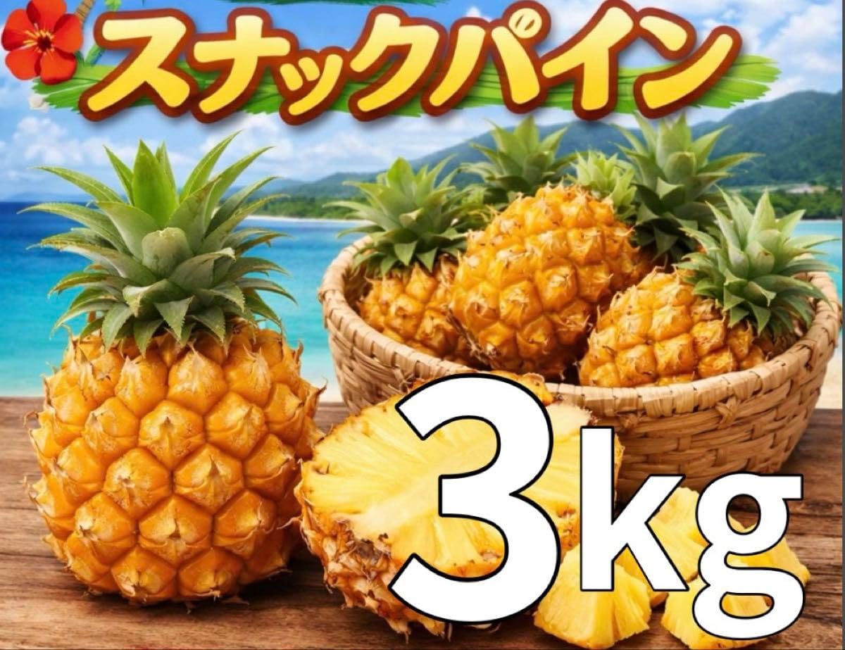 Amazon.co.jp: 石垣島産スナックパイン サイズ 個数おまかせ 3kg